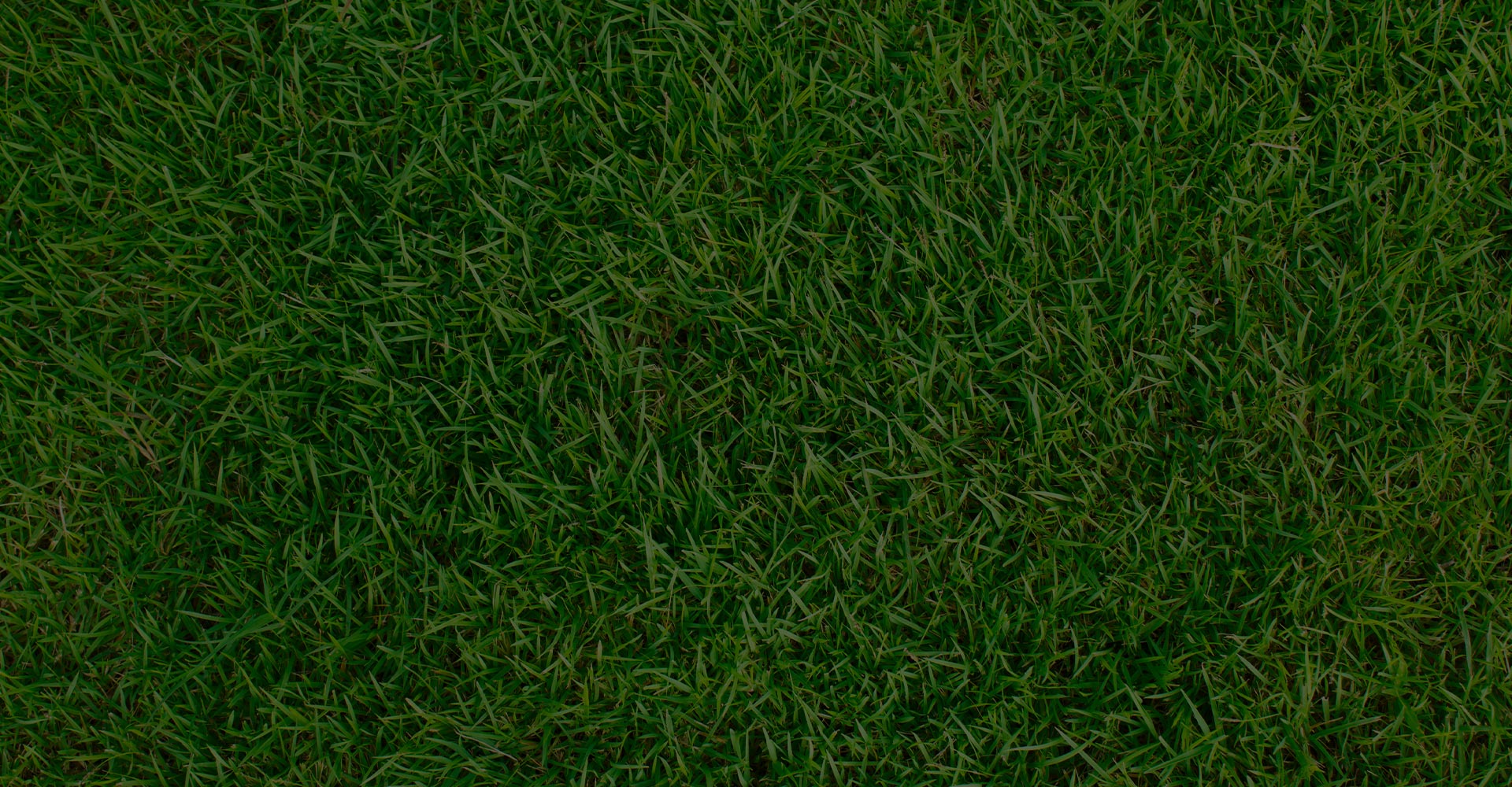 eco3-sectionbg2